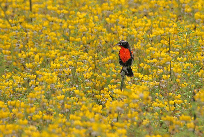 Trí Tuệ Siêu Phàm Go88 Thách Thức Và Cơ Hội Trong Thị Trường Tài Chính Thế Giới