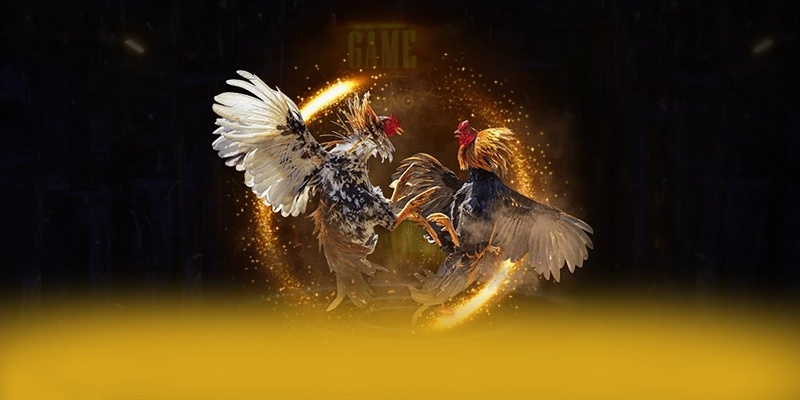 SA88 - Thương hiệu với phần thưởng siêu lớn được người chơi tin tưởng – Khám phá ưu đãi hot của SA88