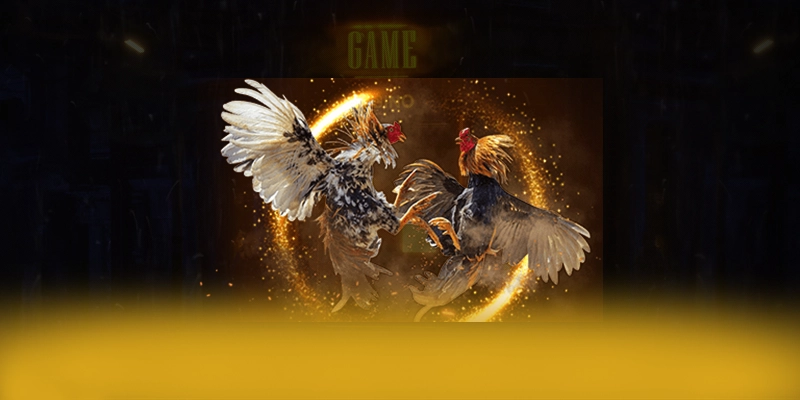 
Khám phá thế giới của DAGA88 - Sảnh game hàng đầu Việt Nam số 1 Việt Nam
