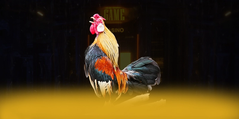 N88 - Cổng trò chơi với chính sách tặng thưởng đẳng cấp được quan tâm nhất – Khám phá chính sách thưởng tại N88