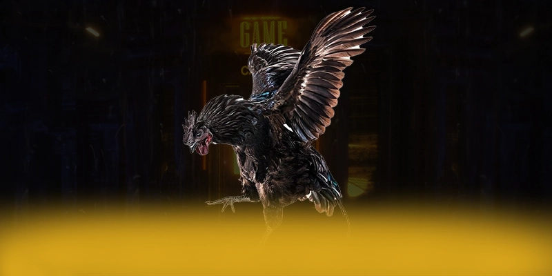 LC88 - Tổng quan về hệ thống một cách tổng quan. LC88 - Tổng quan về hệ thống một cách tổng quan.