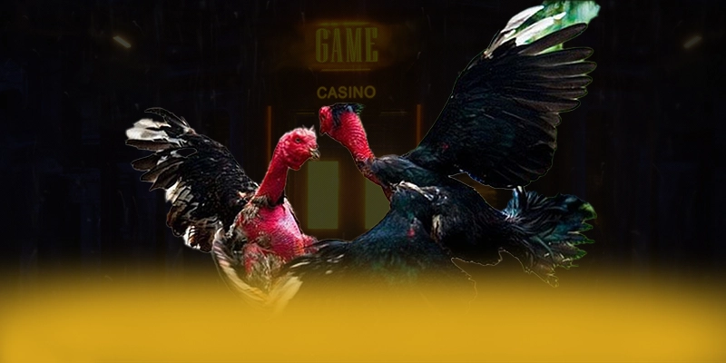 Ku88 - Trang game ưu đãi khủng được giới cược thủ đánh giá cao – Cập nhật event và quà tặng tại Ku88 Ku88 - Trang game ưu đãi khủng được giới cược thủ đánh giá cao – Cập nhật event và quà tặng tại Ku88