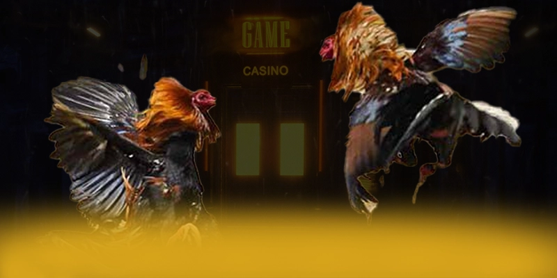 DAGA88 - Trang game ưu đãi khủng được yêu thích hàng đầu – Khám phá phần thưởng khủng từ DAGA88