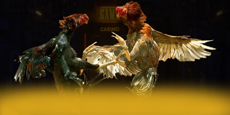 GA6789 – Trang game uy tín số 1, được cộng đồng đánh giá tích cực.