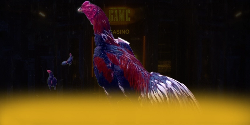 CONGA6789 - Sân chơi mang đến trải nghiệm giải trí đỉnh cao tại Việt Nam – Khám phá kho trò chơi của CONGA6789 CONGA6789 - Sân chơi mang đến trải nghiệm giải trí đỉnh cao tại Việt Nam – Khám phá kho trò chơi của CONGA6789