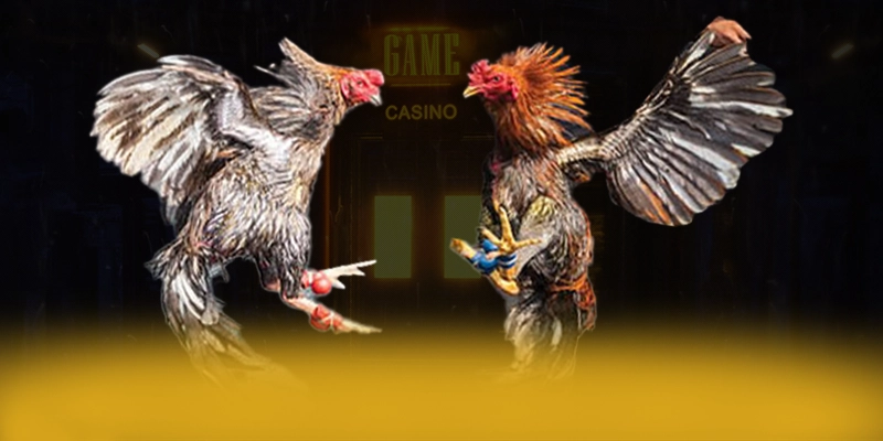 Cùng trải nghiệm DAGA88 - Cổng trò chơi đẳng cấp mới nhất hiện nay
Cùng trải nghiệm DAGA88 - Cổng trò chơi đẳng cấp mới nhất hiện nay