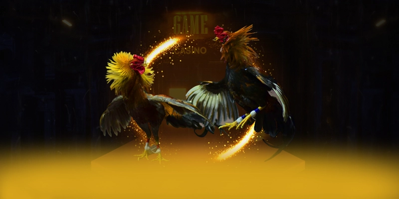 DAGA88 - Nhà cái sở hữu kho game phong phú được yêu thích nhất – Tìm hiểu thêm về các sản phẩm của DAGA88