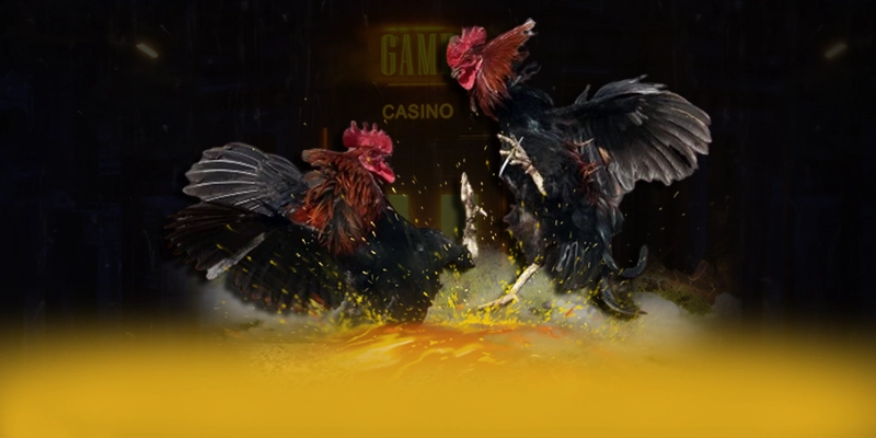 CONGA6789 - Tổng kết theo đánh giá từ người dùng. CONGA6789 - Tổng kết theo đánh giá từ người dùng.