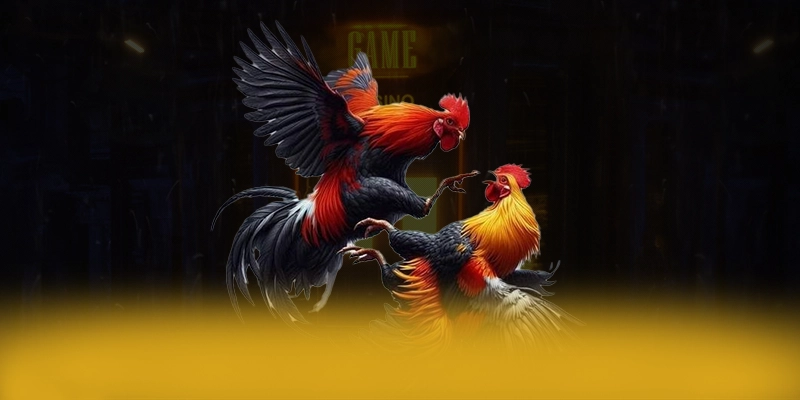 GO8 - Cổng game có quà tặng đặc biệt được cộng đồng game thủ yêu thích – Cập nhật ngay GO8