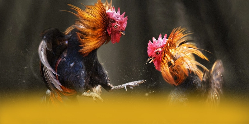 DAGA88 - Sảnh game đáng trải nghiệm hiện nay DAGA88 - Sảnh game đáng trải nghiệm hiện nay