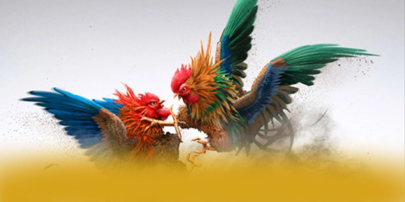 Khám phá KUWIN - Sảnh game an toàn tuyệt đối tại Việt Nam
Khám phá KUWIN - Sảnh game an toàn tuyệt đối tại Việt Nam