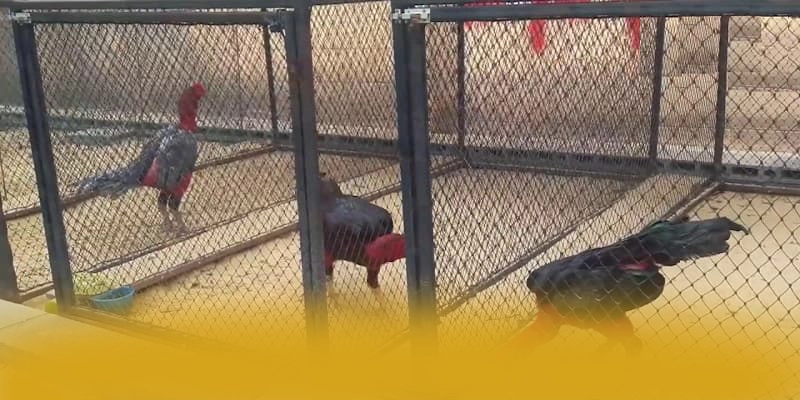 AU88 - Kết luận & gợi ý trải nghiệm dành cho người chơi. AU88 - Kết luận & gợi ý trải nghiệm dành cho người chơi.