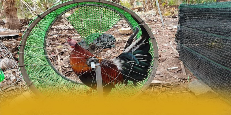 B52 - Trang game uy tín hiện nay B52 - Trang game uy tín hiện nay