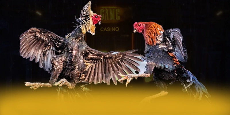 F8BET - Nền tảng cá cược có giấy phép quốc tế an toàn nhất F8BET - Nền tảng cá cược có giấy phép quốc tế an toàn nhất