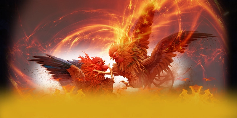 Review chi tiết da88 - Nhà cái uy tín số 1 trên thị trường