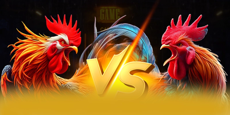 Ưu đãi khủng dành cho thành viên mới và cũ tại 8XBET