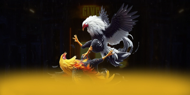 Giới thiệu 8XBET - Trang game phổ biến nhất 2026